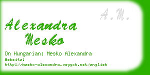 alexandra mesko business card
